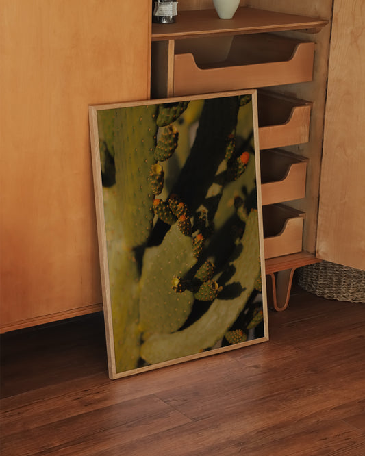 Cactus Photography Printable Wall Art | Digital Download printable wall art by Paperhus