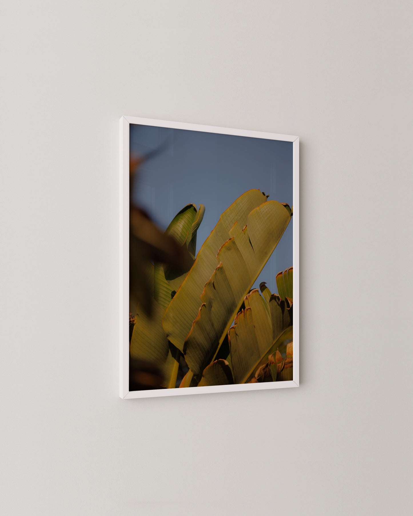 Banana Leaf Photo Print- Wall Art -Paperhus- Printable wall art - Instant downloads - DIY home decor -Paperhus
