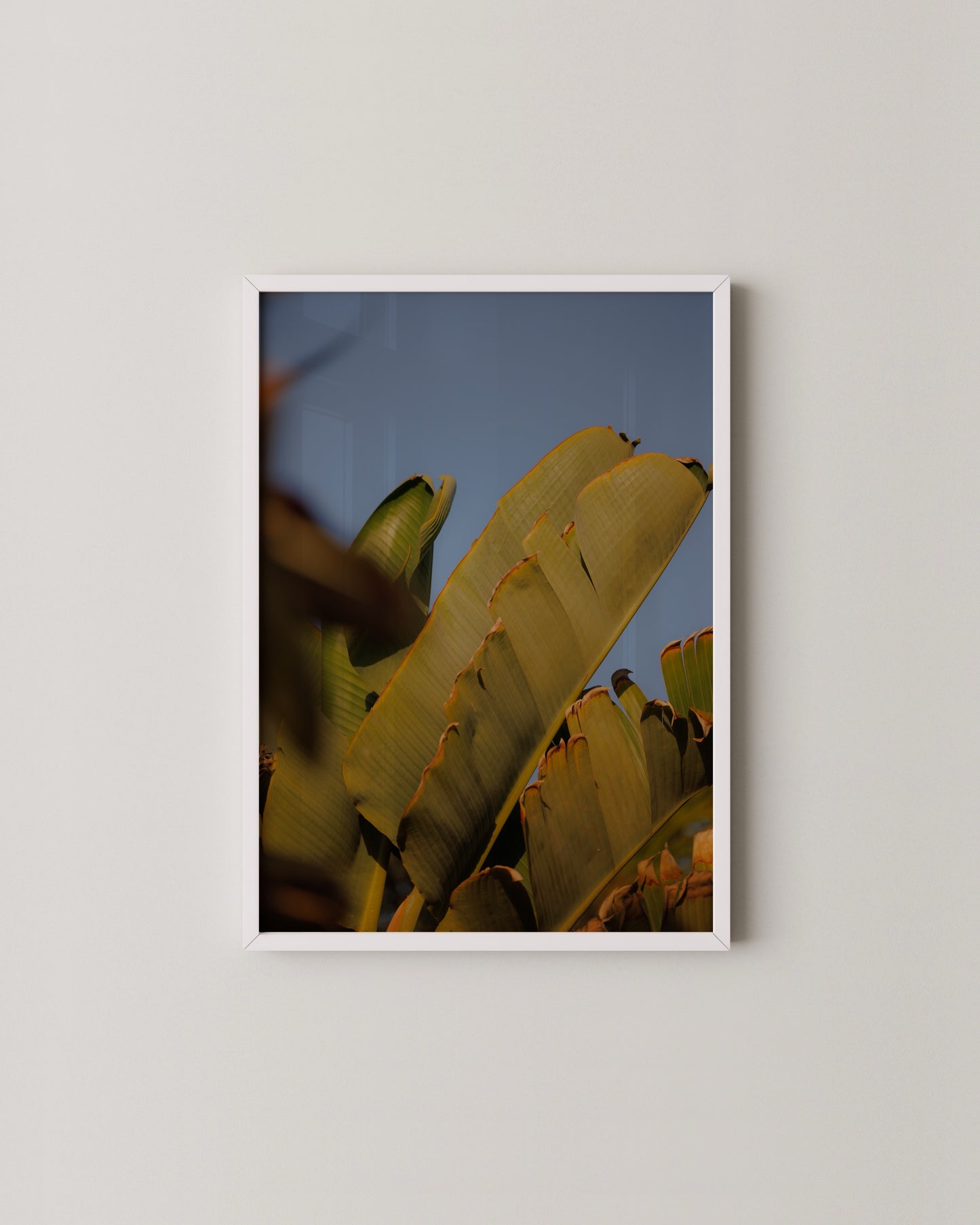 Banana Leaf Photo Print- Wall Art -Paperhus- Printable wall art - Instant downloads - DIY home decor -Paperhus