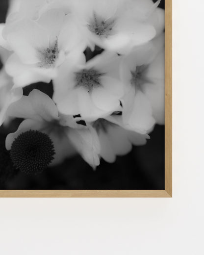 Free Print printable wall art by Paperhus