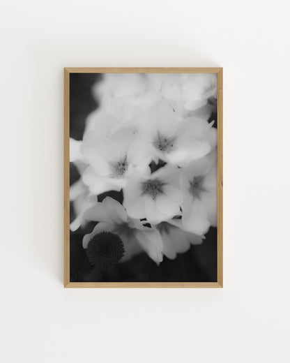 Free Print printable wall art by Paperhus