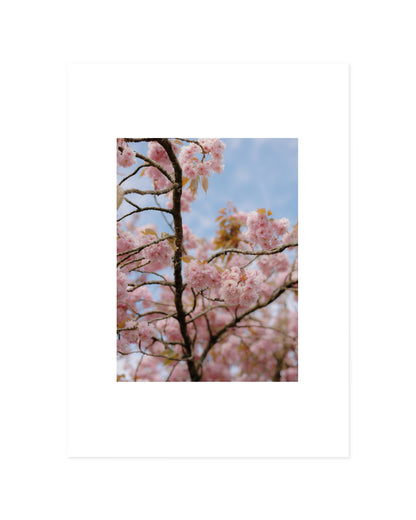 Spring In Bloom. Set Of 2-printable wall art by Paperhus