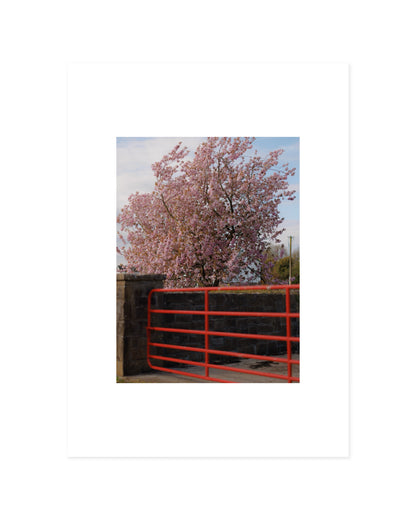 Spring In Bloom. Red Gate printable wall art by Paperhus