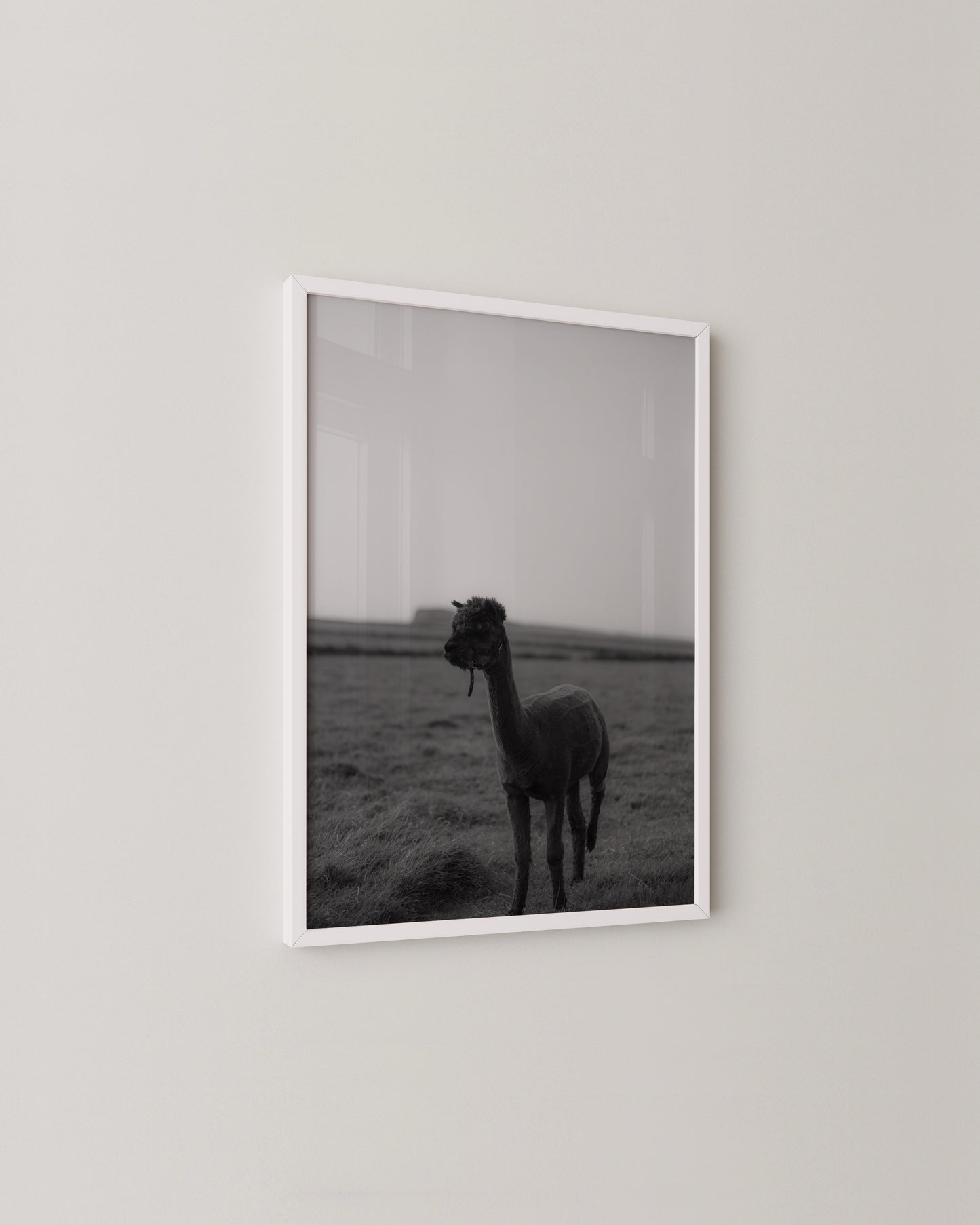 B&W Alpaca Print- Wall Art -Paperhus- Printable wall art - Instant downloads - DIY home decor -Paperhus