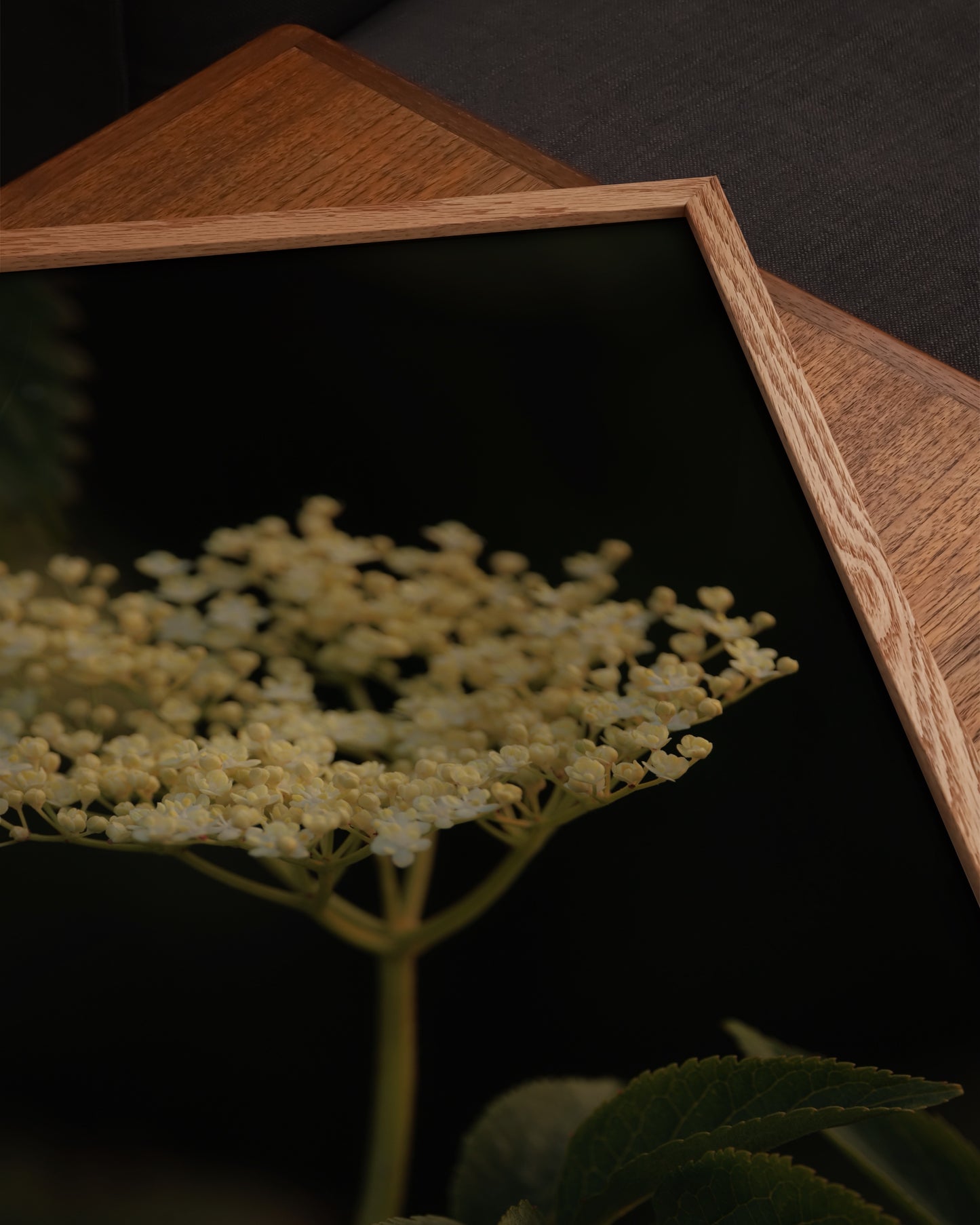 Elderflower Print- Wall Art -Paperhus- Printable wall art - Instant downloads - DIY home decor -Paperhus