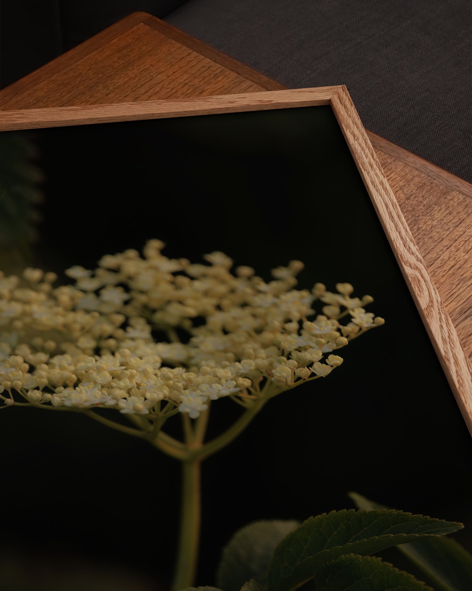 Elderflower Print- Wall Art -Paperhus- Printable wall art - Instant downloads - DIY home decor -Paperhus
