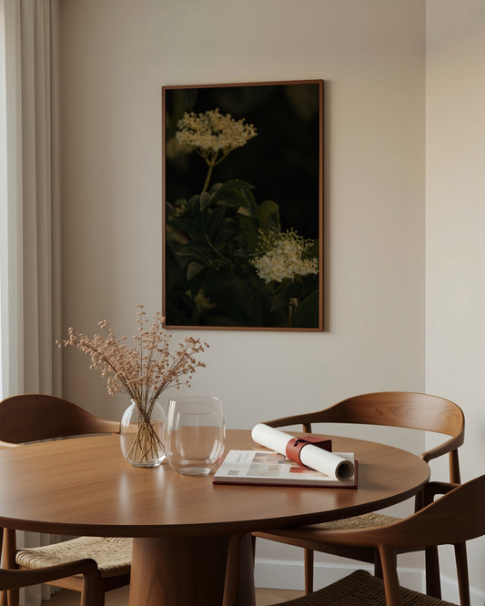 Countryside Studies. Elderflower printable wall art by Paperhus