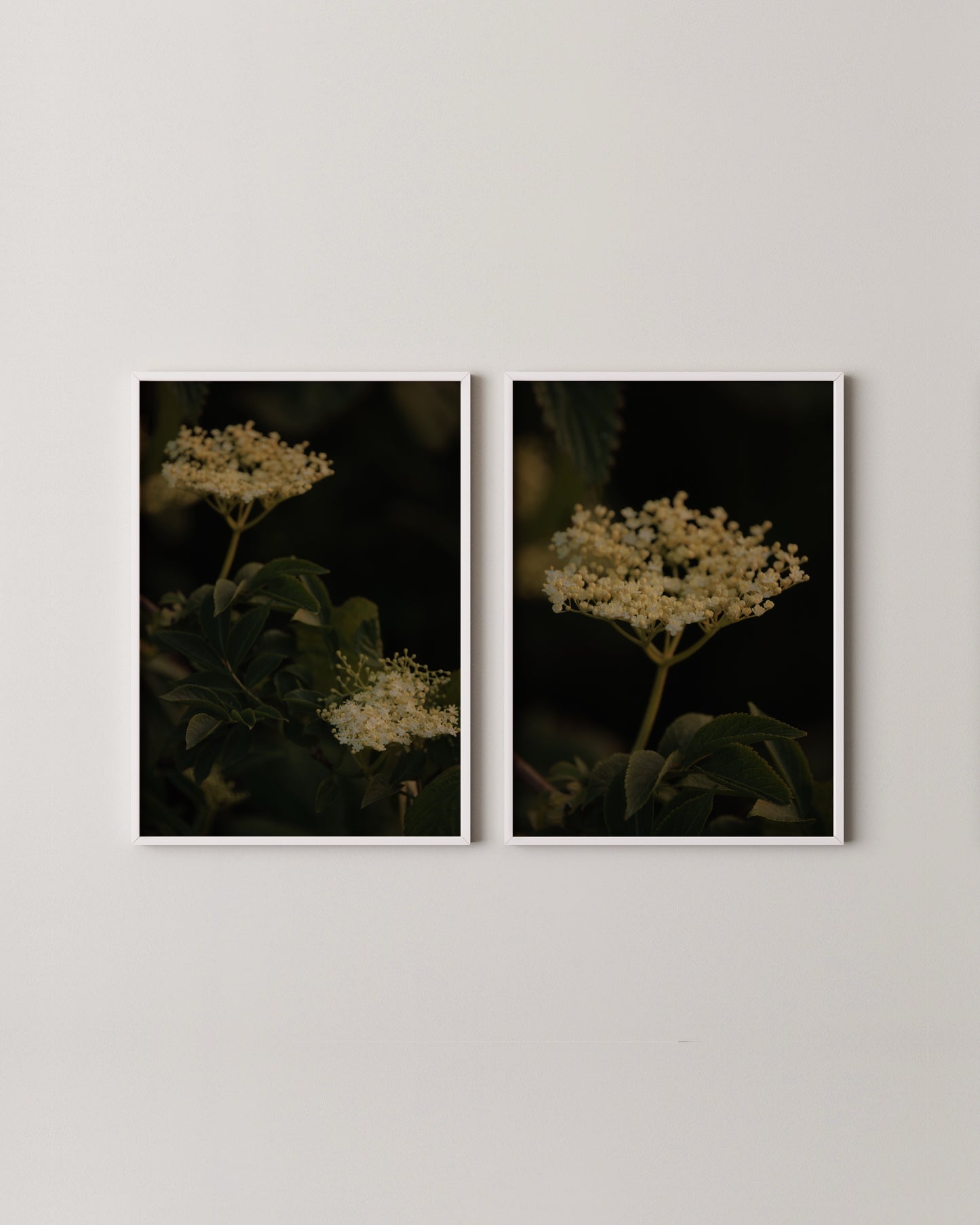 Elderflower Print Set- Wall Art -Paperhus- Printable wall art - Instant downloads - DIY home decor -Paperhus