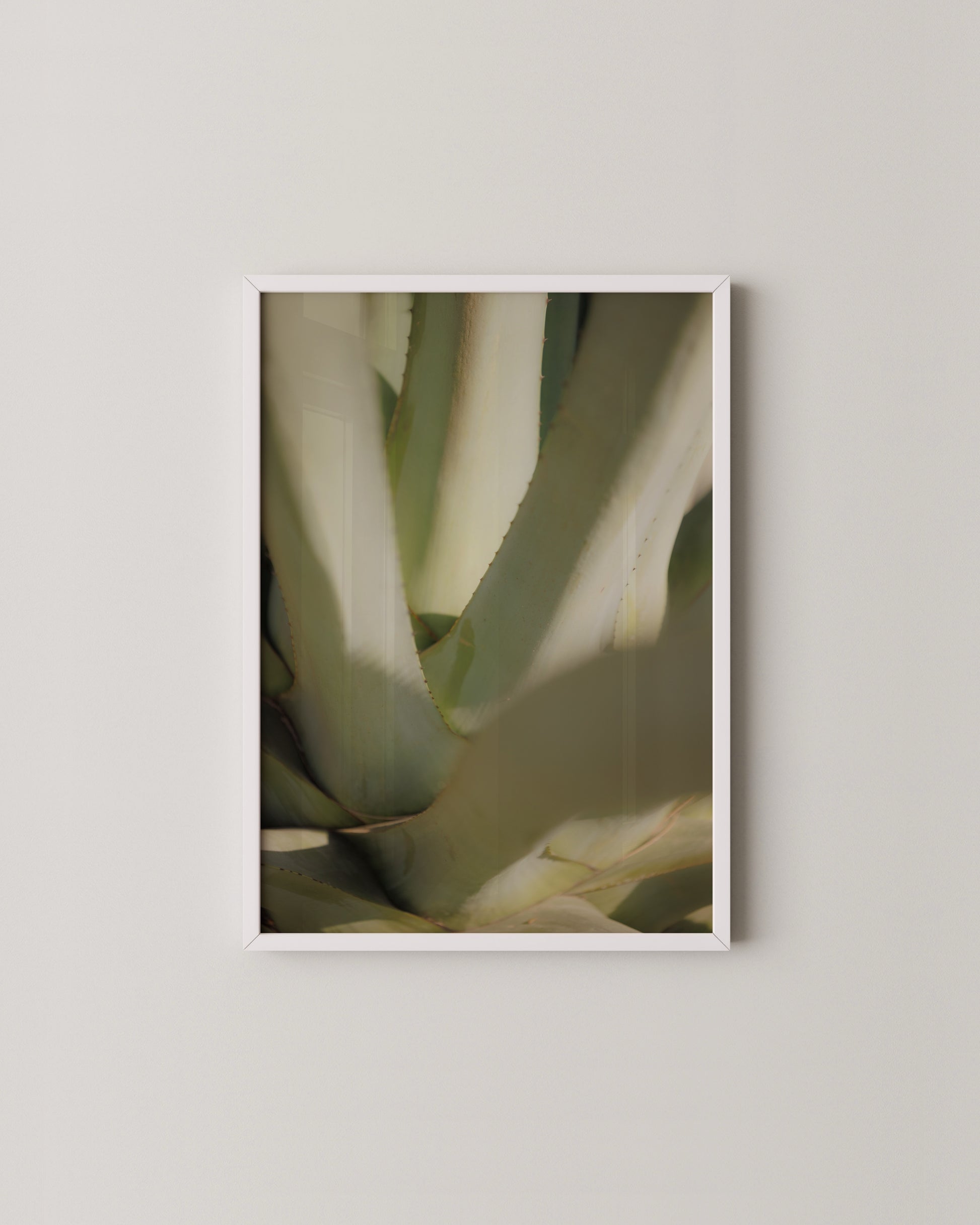 Aloe Close-up Print- Wall Art -Paperhus- Printable wall art - Instant downloads - DIY home decor -Paperhus