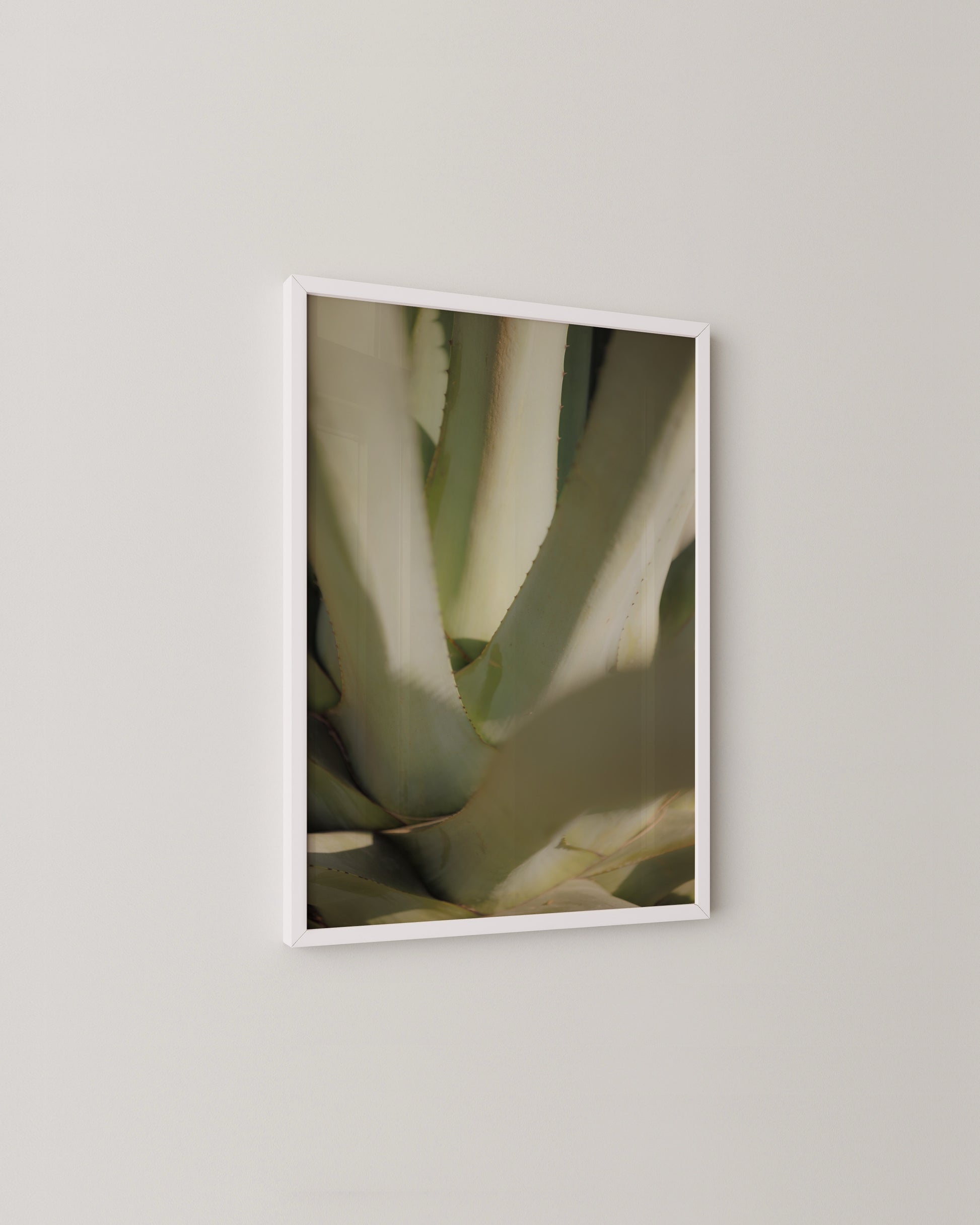 Aloe Close-up Print- Wall Art -Paperhus- Printable wall art - Instant downloads - DIY home decor -Paperhus