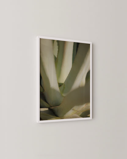 Aloe Close-up Print- Wall Art -Paperhus- Printable wall art - Instant downloads - DIY home decor -Paperhus