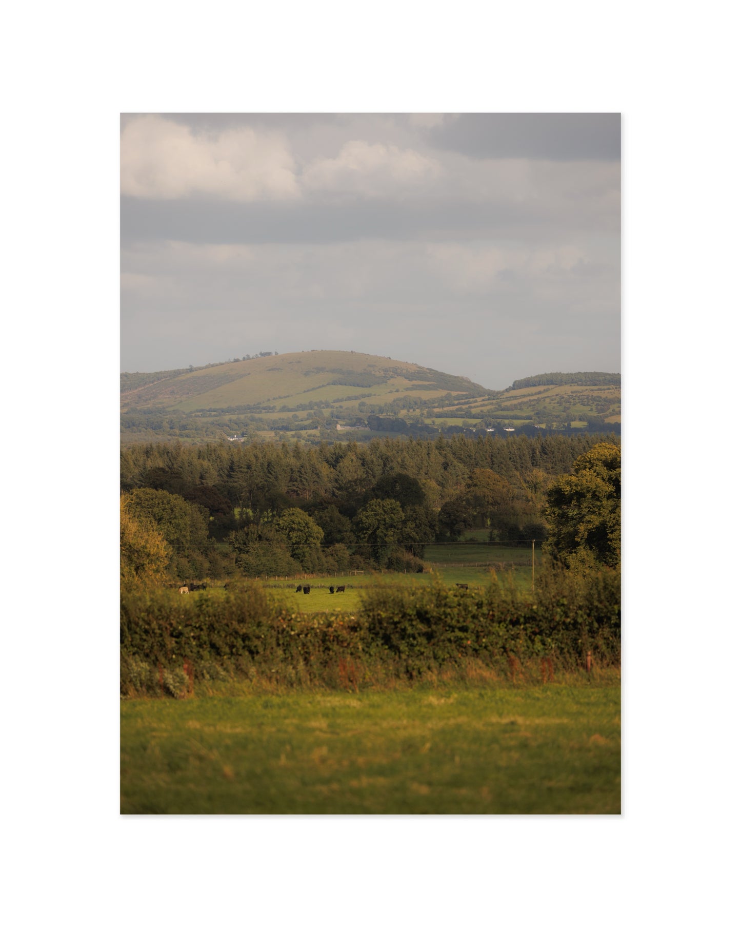 Countryside Studies. The Field printable wall art by Paperhus