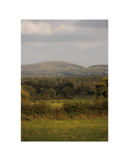 Countryside Studies. The Field printable wall art by Paperhus