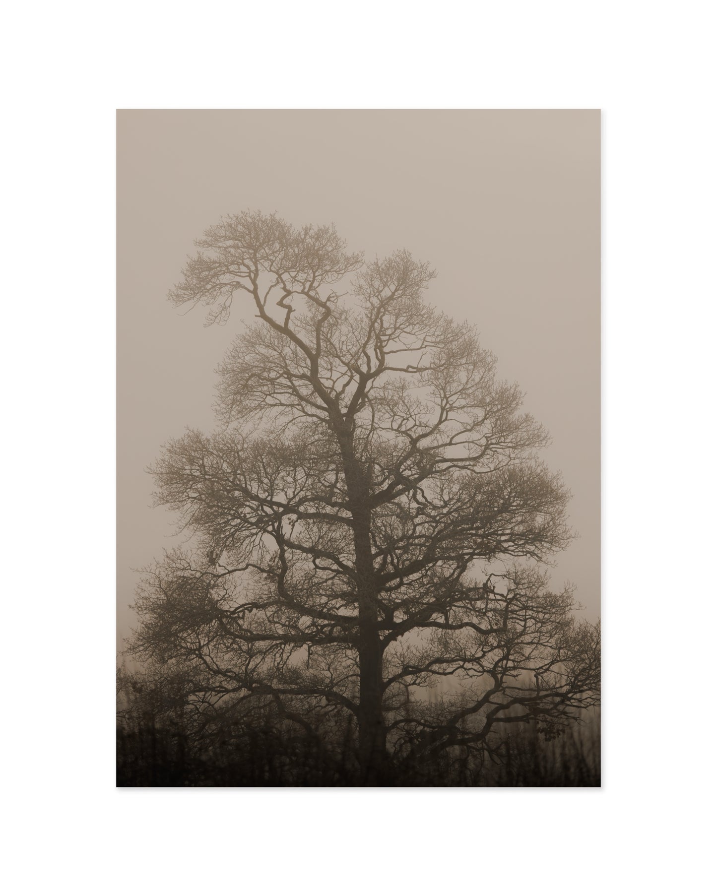 Moody Tree Print