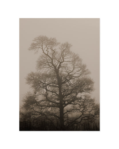 Moody Tree Print
