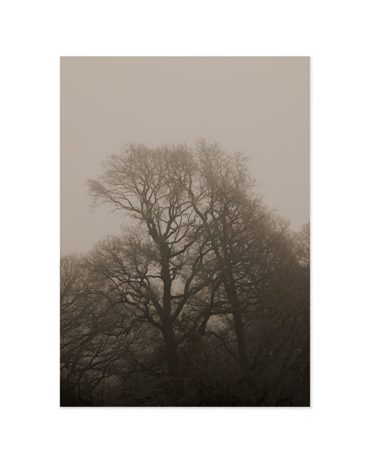 Moody Tree Print