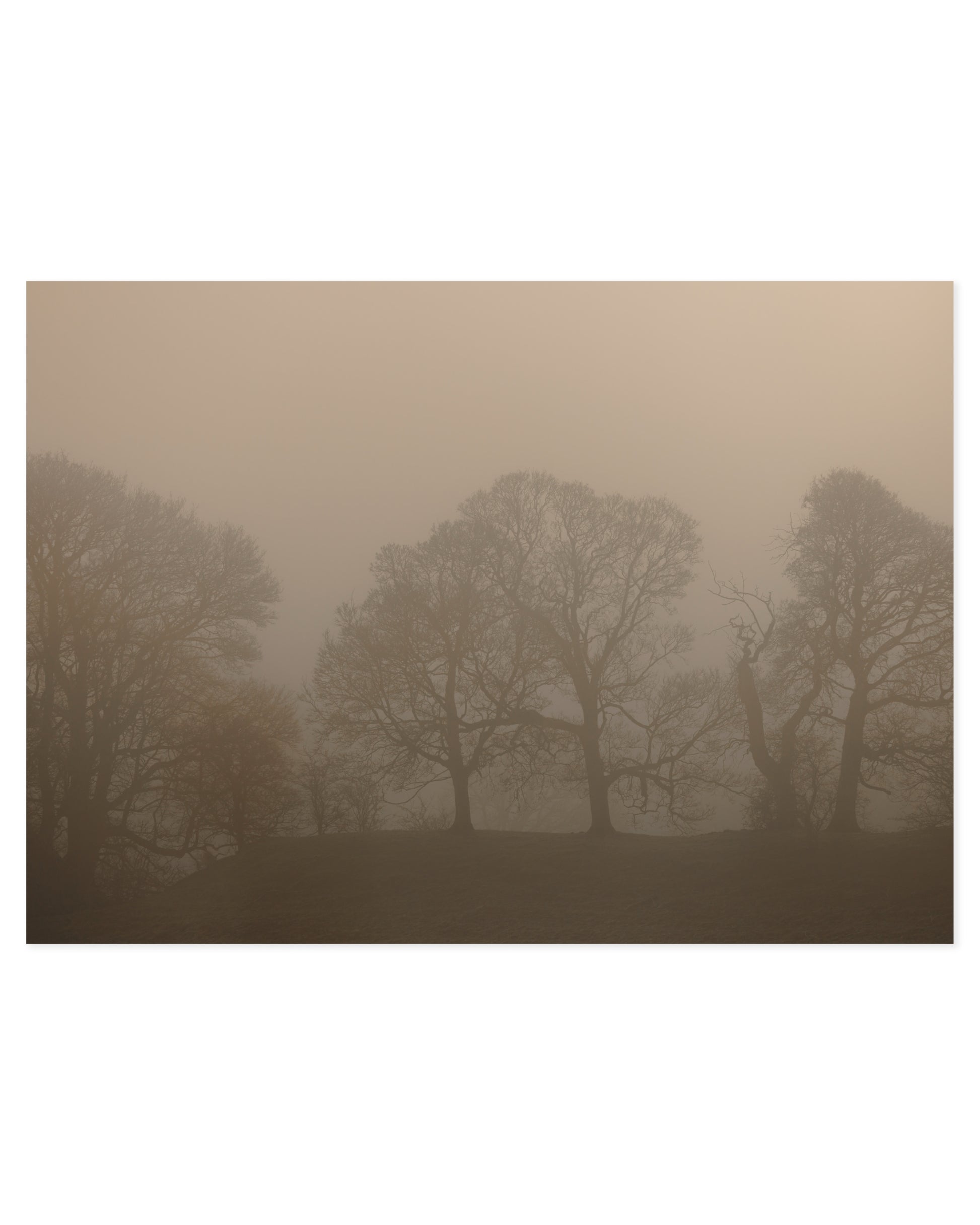 Photography. Set of 2 printable wall art by Paperhus