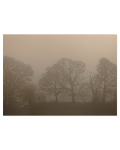 Photography. Set of 2 printable wall art by Paperhus