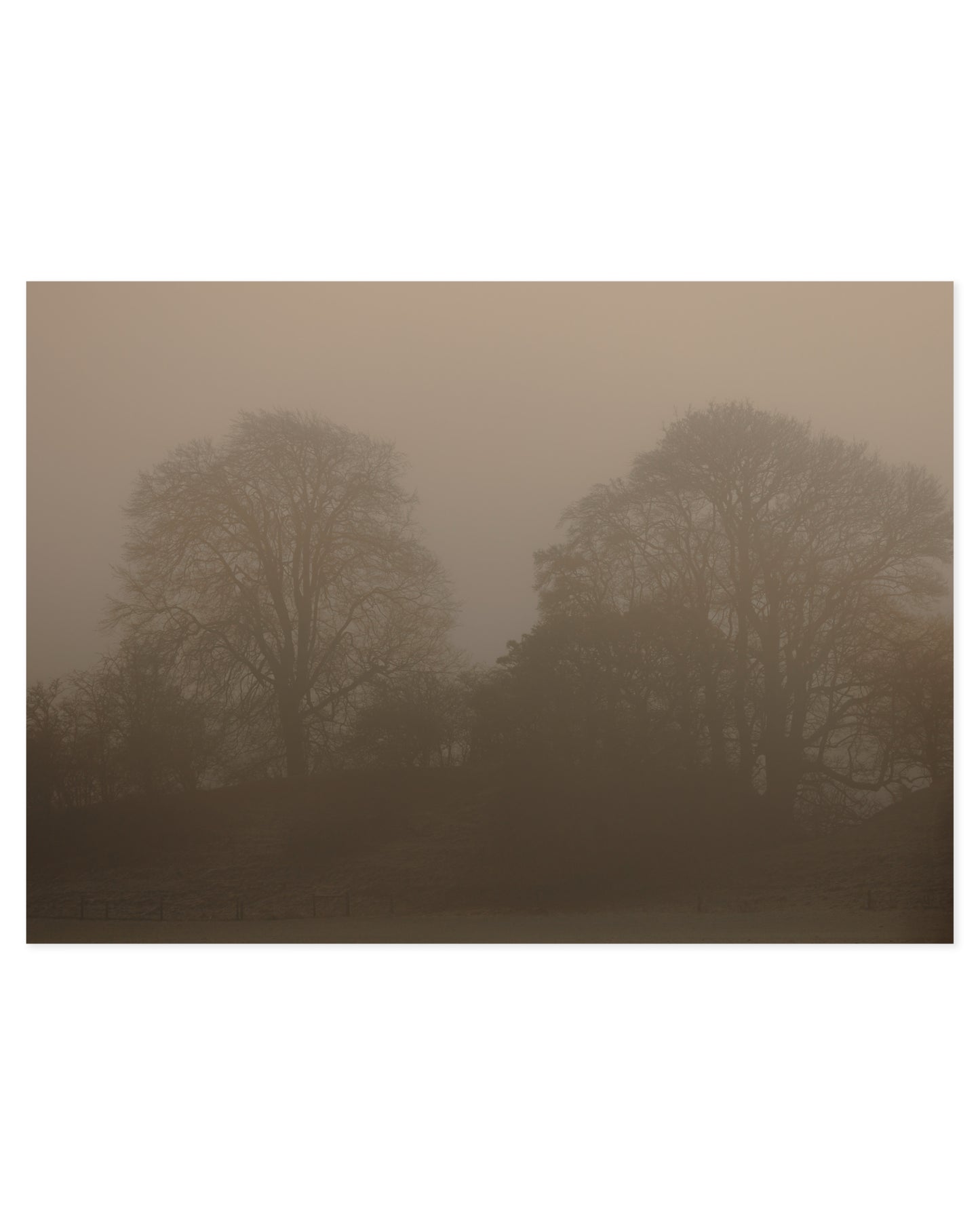 Photography. Set of 2 printable wall art by Paperhus