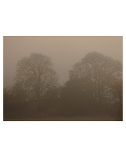 Photography. Set of 2 printable wall art by Paperhus