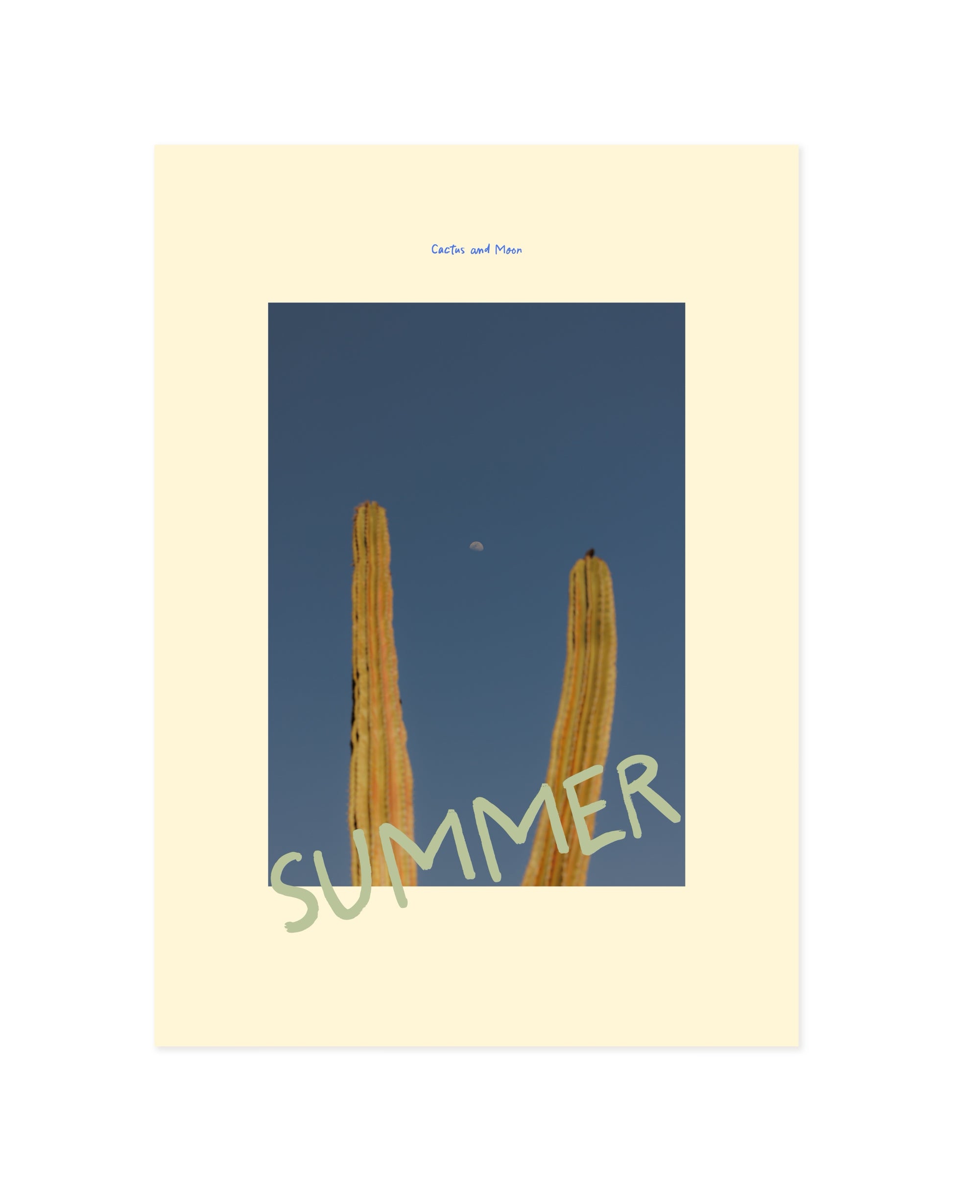 Cactus Photography Printable Wall Art | Digital Download printable wall art by Paperhus