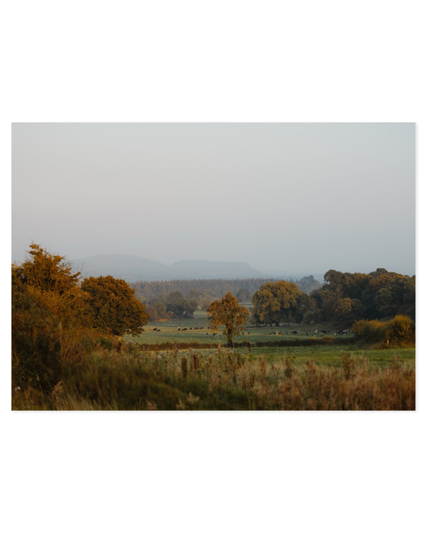 Countryside Studies. Irish Land printable wall art by Paperhus