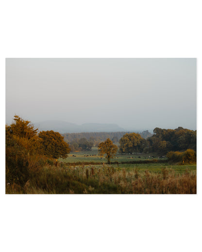 Countryside Studies. Irish Land printable wall art by Paperhus