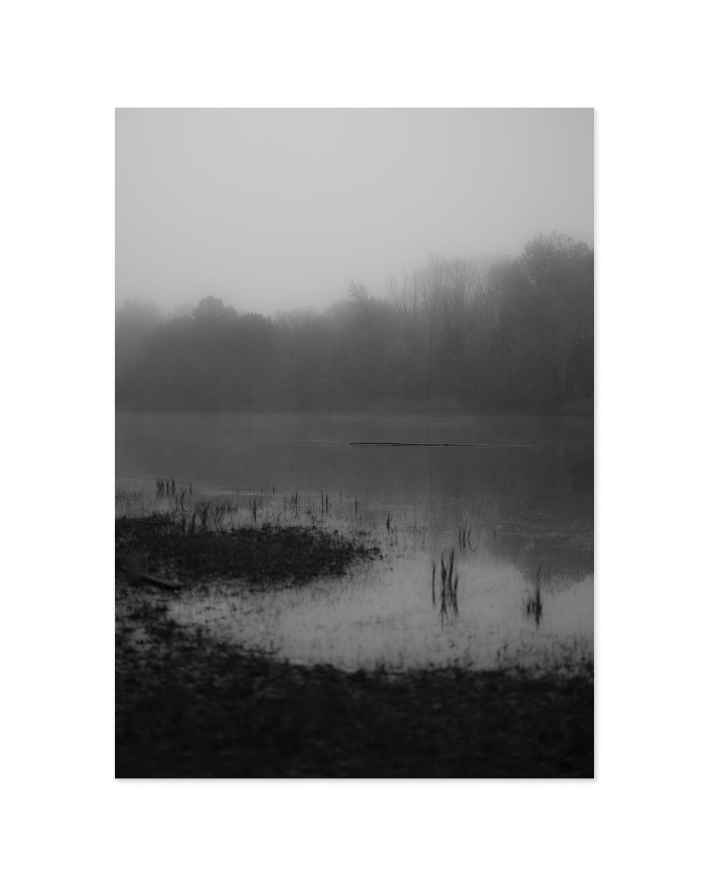 Moody Tones. Misty Lake printable wall art by Paperhus