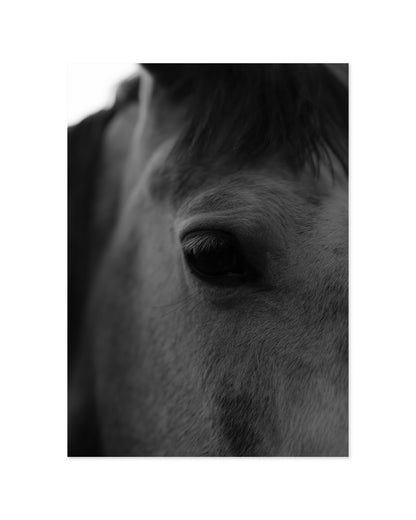 Moody Tones. Horse Portrait printable wall art by Paperhus