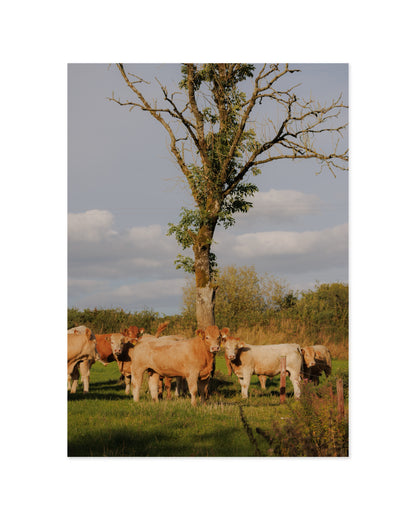 Countryside Studies. The Watchers printable wall art by Paperhus