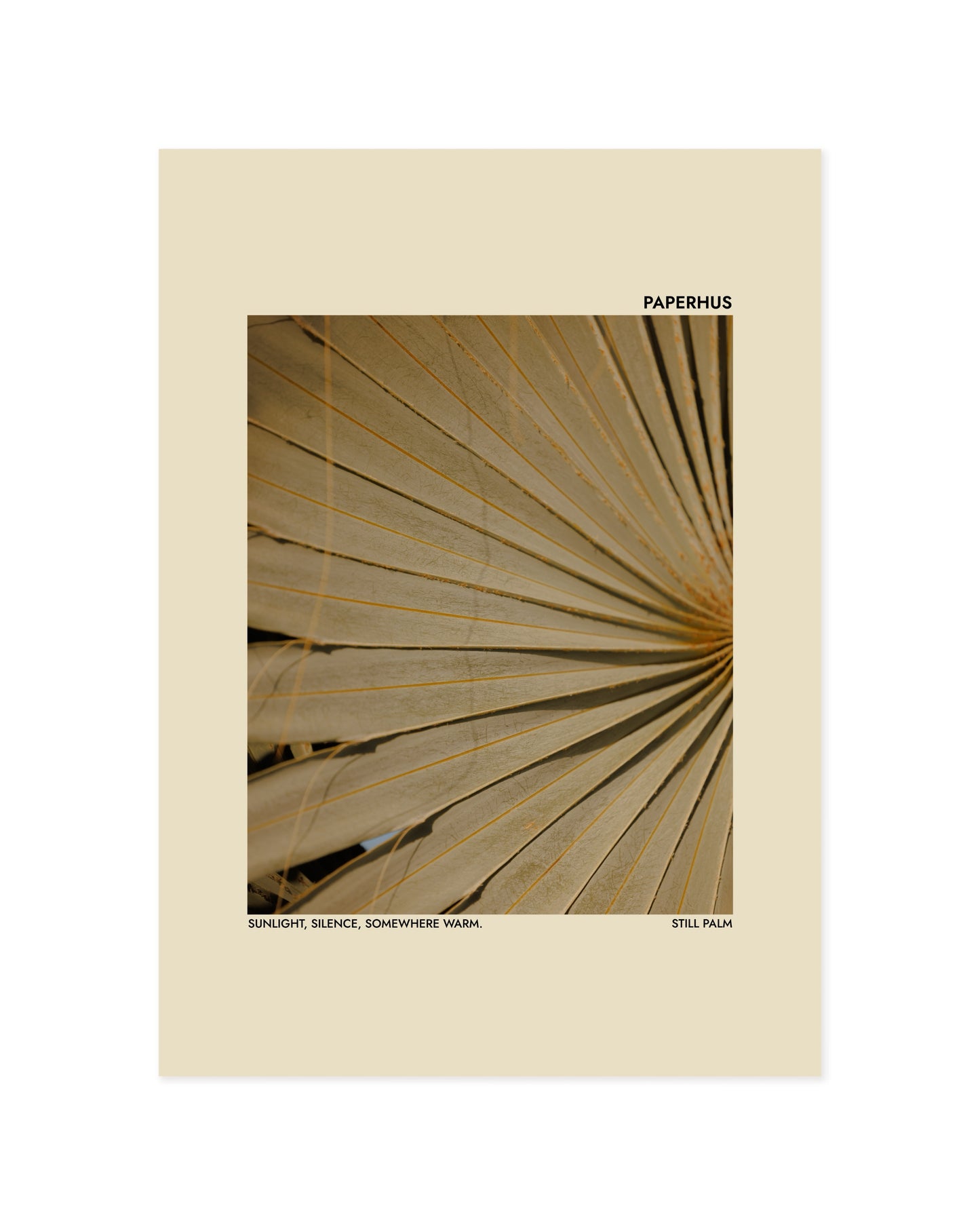Photography Printable Wall Art | Digital Download printable wall art by Paperhus