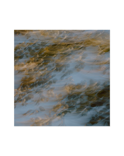Countryside Studies. Nature In Motion printable wall art by Paperhus