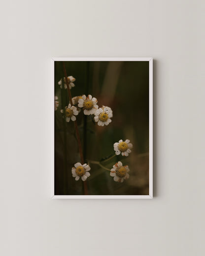 Rustic Floral Print- Wall Art -Paperhus- Printable wall art - Instant downloads - DIY home decor -Paperhus
