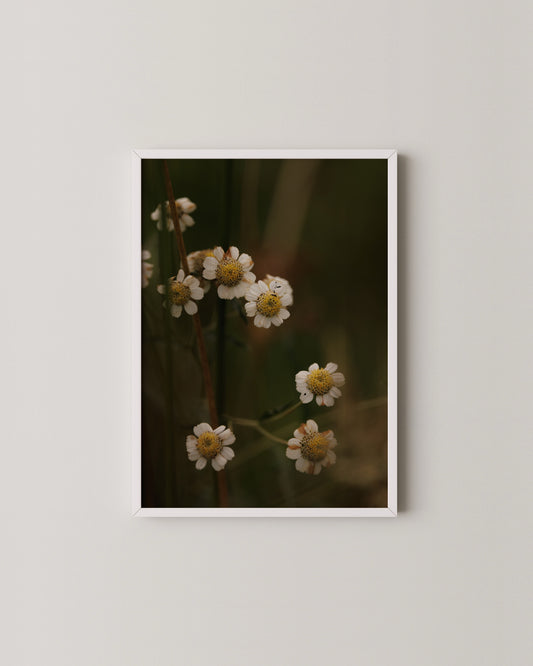 Rustic Floral Print- Wall Art -Paperhus- Printable wall art - Instant downloads - DIY home decor -Paperhus