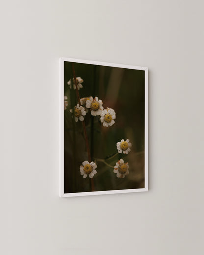 Rustic Floral Print- Wall Art -Paperhus- Printable wall art - Instant downloads - DIY home decor -Paperhus