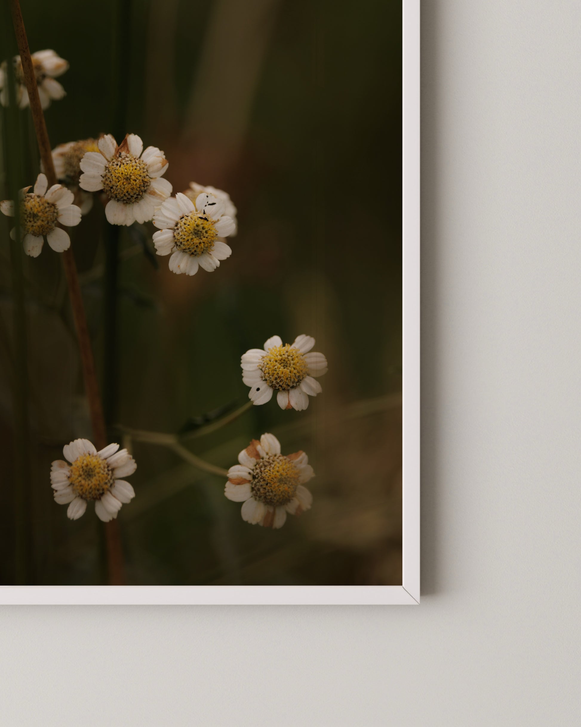 Rustic Floral Print- Wall Art -Paperhus- Printable wall art - Instant downloads - DIY home decor -Paperhus