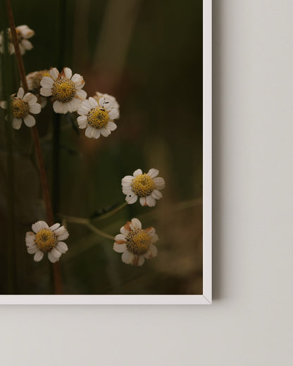 Rustic Floral Print- Wall Art -Paperhus- Printable wall art - Instant downloads - DIY home decor -Paperhus