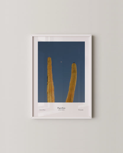Cactus & Moon Print- Wall Art -Paperhus- Printable wall art - Instant downloads - DIY home decor -Paperhus