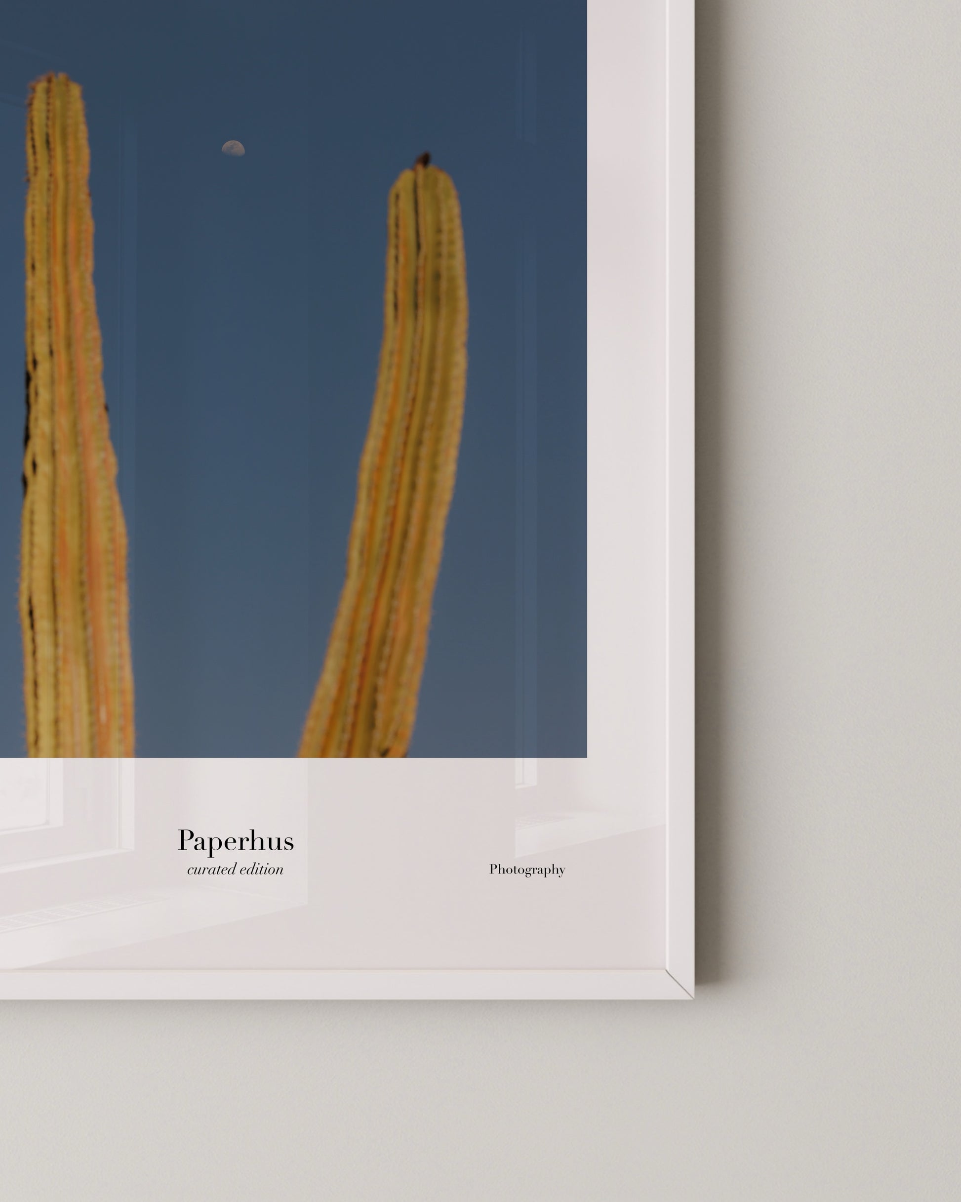 Cactus & Moon Print- Wall Art -Paperhus- Printable wall art - Instant downloads - DIY home decor -Paperhus