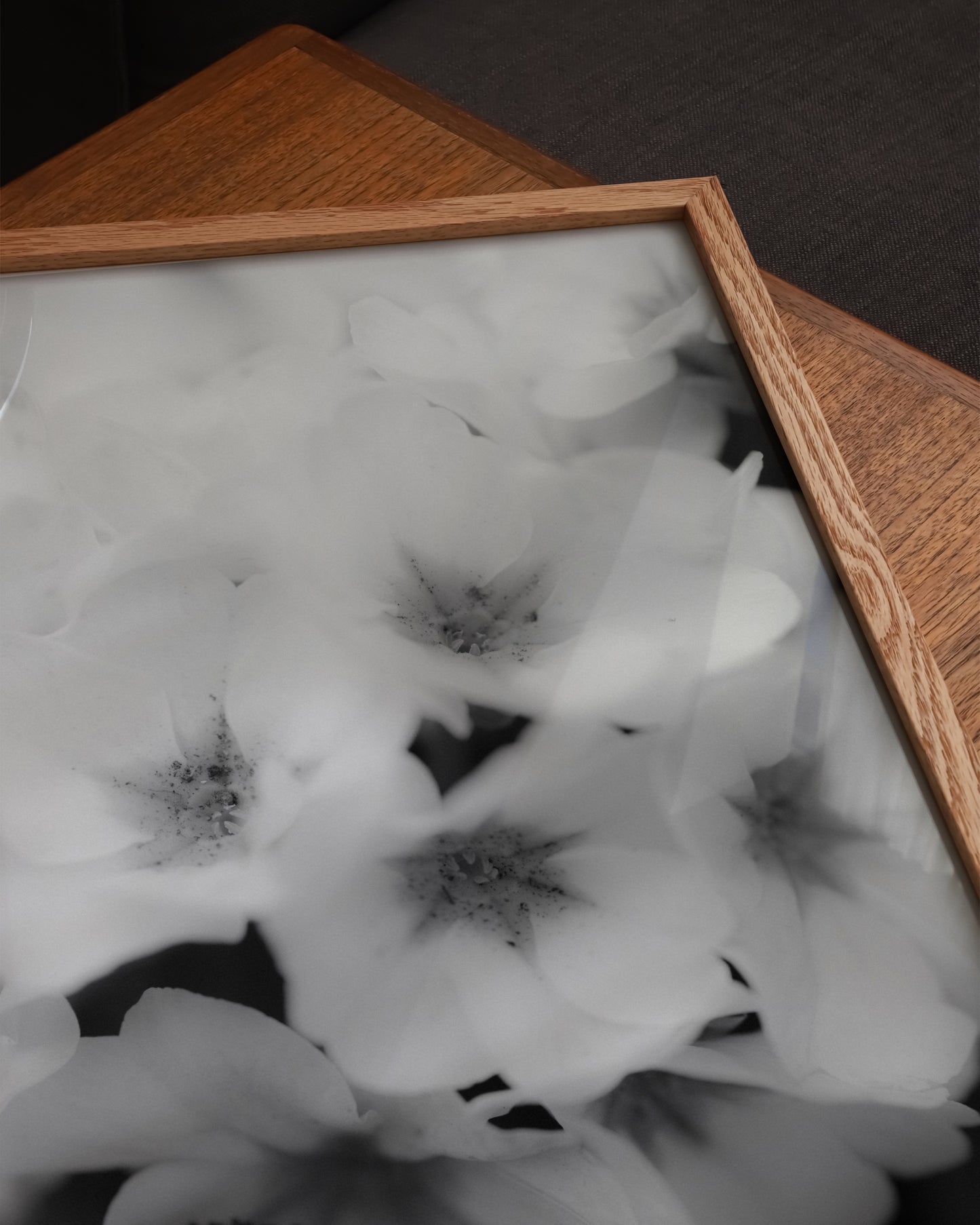 Soft Bloom Print- Wall Art -Paperhus- Printable wall art - Instant downloads - DIY home decor -Paperhus