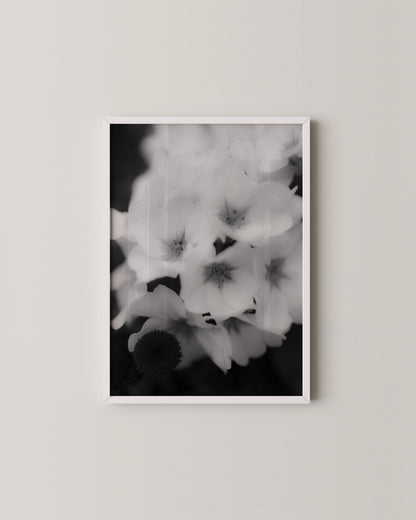Soft Bloom Print- Wall Art -Paperhus- Printable wall art - Instant downloads - DIY home decor -Paperhus