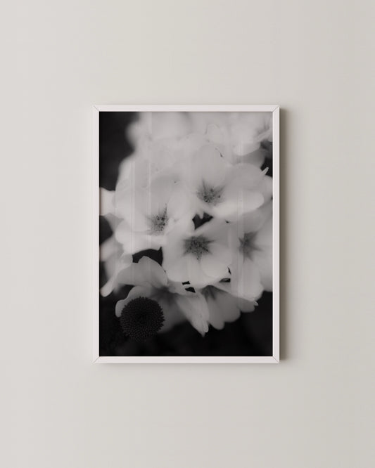 Soft Bloom Print- Wall Art -Paperhus- Printable wall art - Instant downloads - DIY home decor -Paperhus