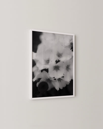 Soft Bloom Print- Wall Art -Paperhus- Printable wall art - Instant downloads - DIY home decor -Paperhus