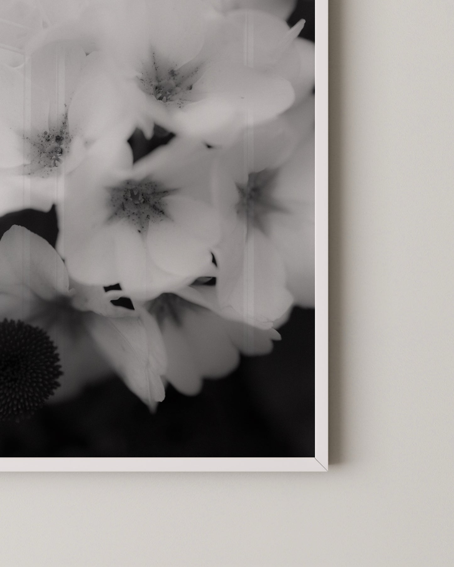 Soft Bloom Print- Wall Art -Paperhus- Printable wall art - Instant downloads - DIY home decor -Paperhus