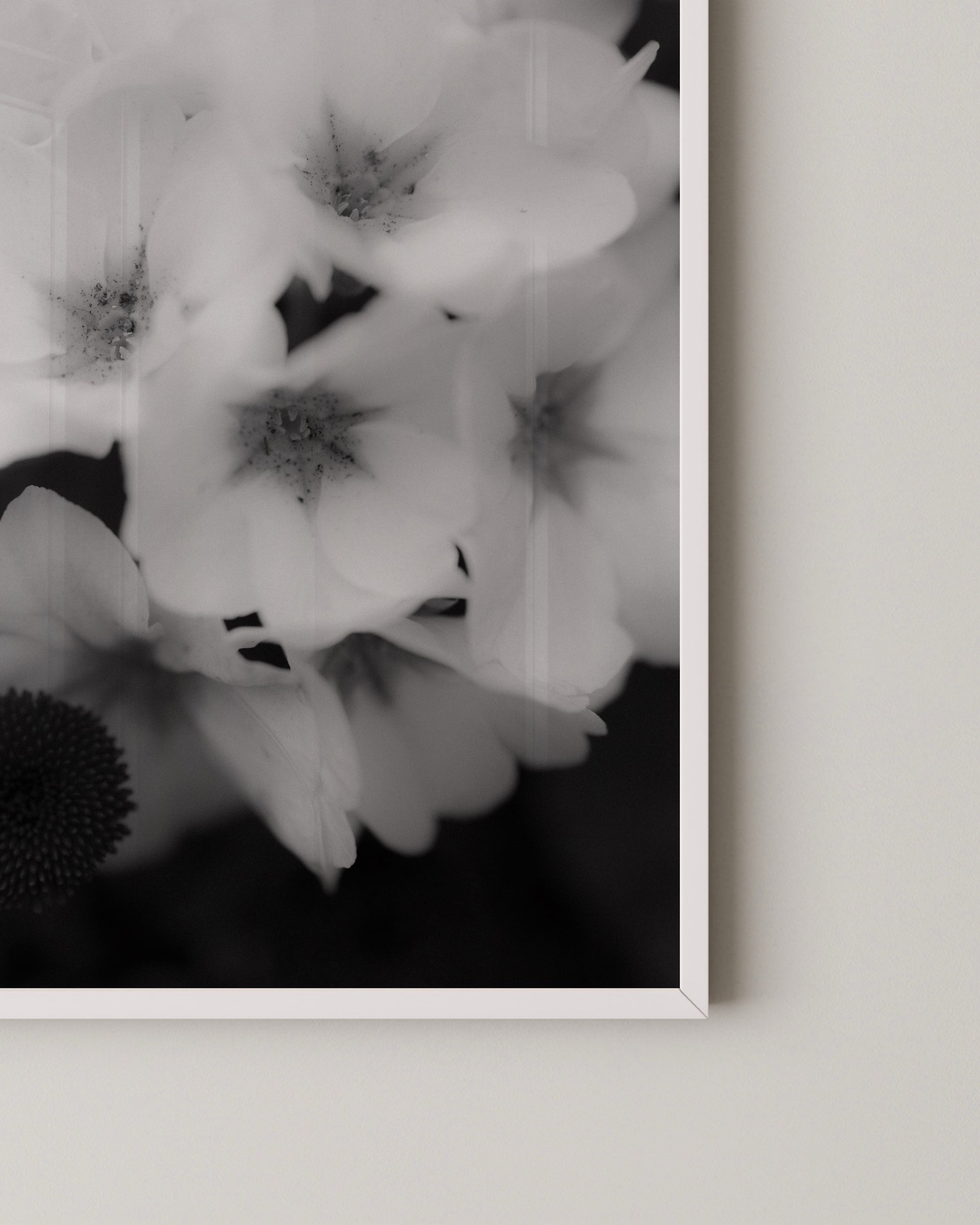 Soft Bloom Print- Wall Art -Paperhus- Printable wall art - Instant downloads - DIY home decor -Paperhus