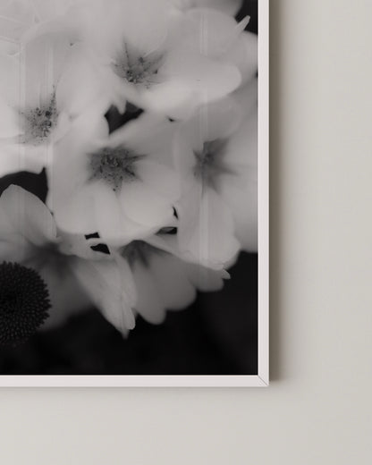 Soft Bloom Print- Wall Art -Paperhus- Printable wall art - Instant downloads - DIY home decor -Paperhus