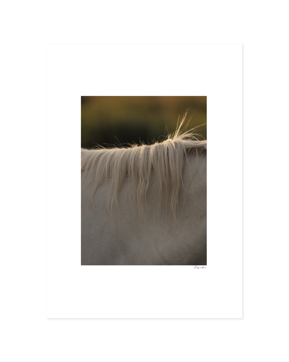 Horse Hair Photography Printable Wall Art