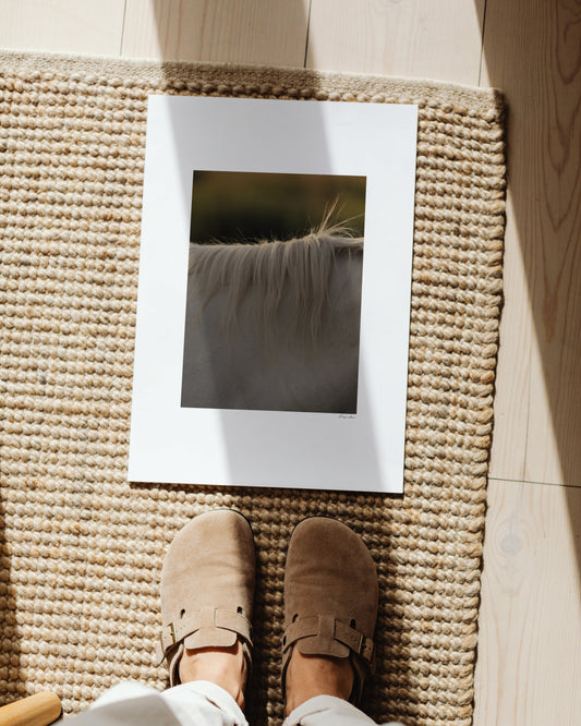 Horse Hair Photography Printable Wall Art