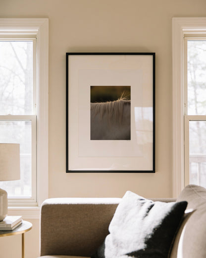 Horse Hair Photography Printable Wall Art
