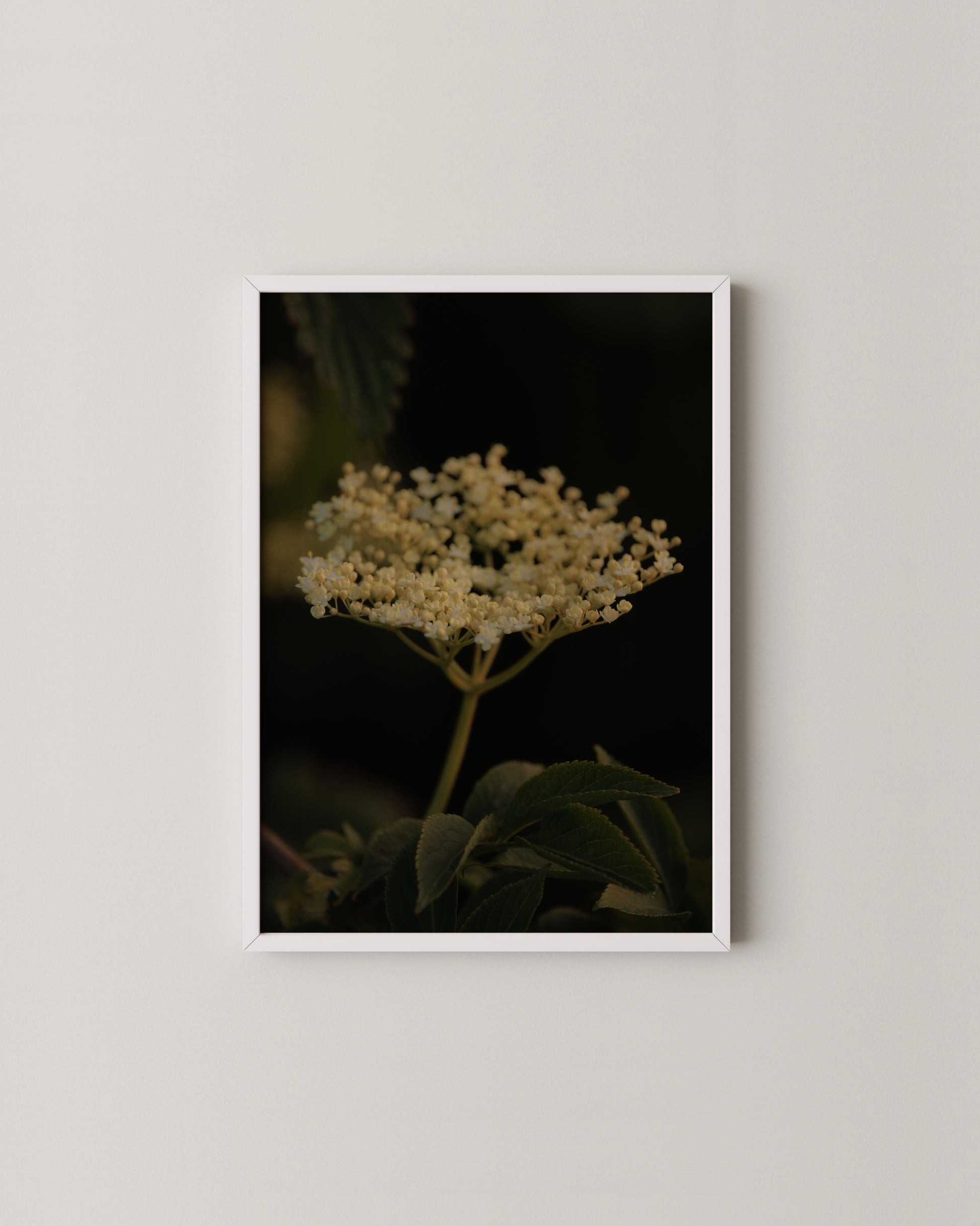 Gallery Set Of 9- Wall Art -Paperhus- Printable wall art - Instant downloads - DIY home decor -Paperhus